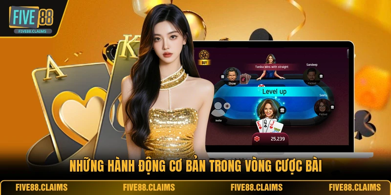 Những hành động cơ bản trong vòng cược bài