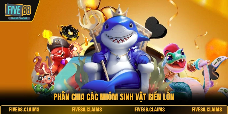 Phân chia các nhóm sinh vật biển lớn